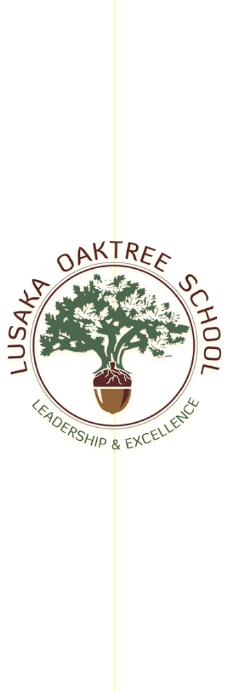 lusaka logo